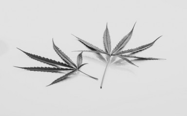 Детоксикация от наркотиков в Большие Вязёмы